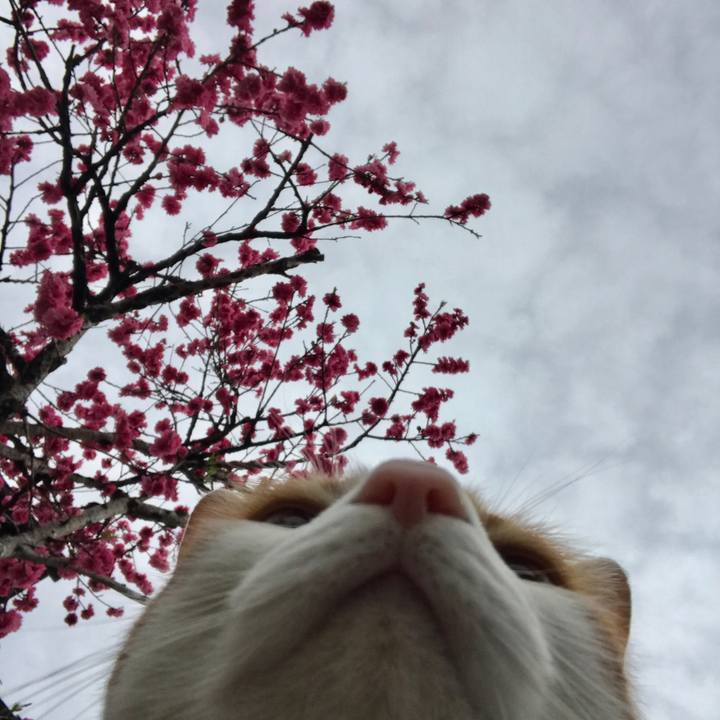 15b0adcd c6df 45b3 8045 58fcbfc1cfee