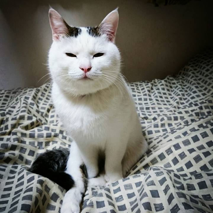 15b0bcd3 e0df 49c8 a537 0cd07f8fedf6