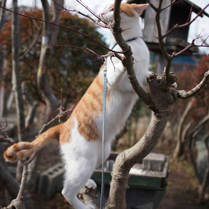 15b212ff 9ac1 49be bc08 f54f57d8ecde