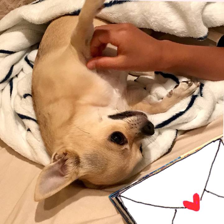 15b24204 1384 41b7 9daf 0419df61f7d6