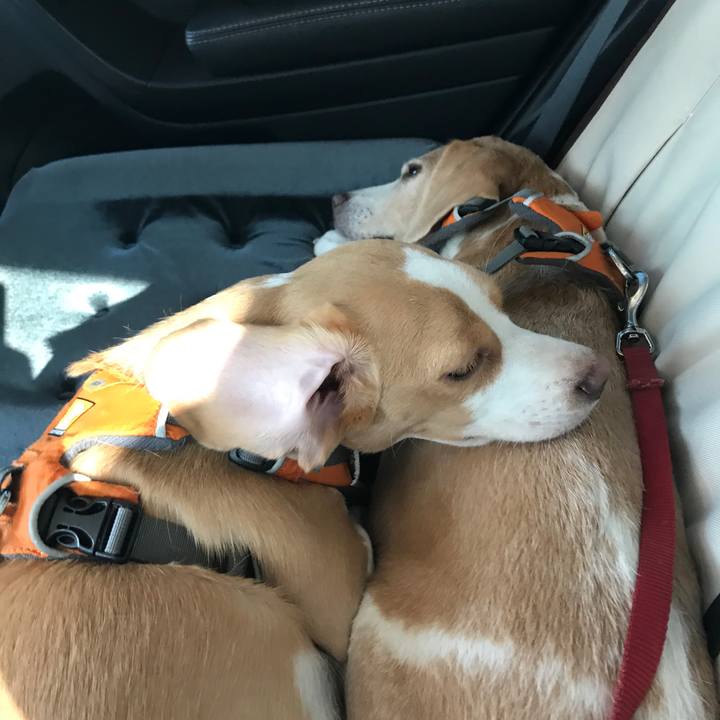 15b25e7f db4d 463b 92a8 3fbda387177b