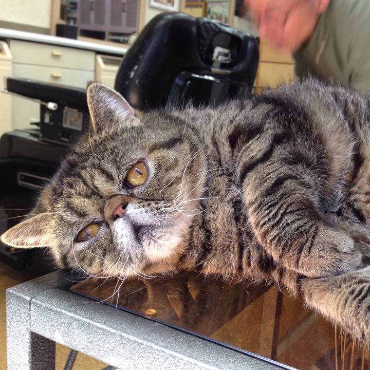 15b29ea0 0a45 4ea4 a133 c7de7080ee47