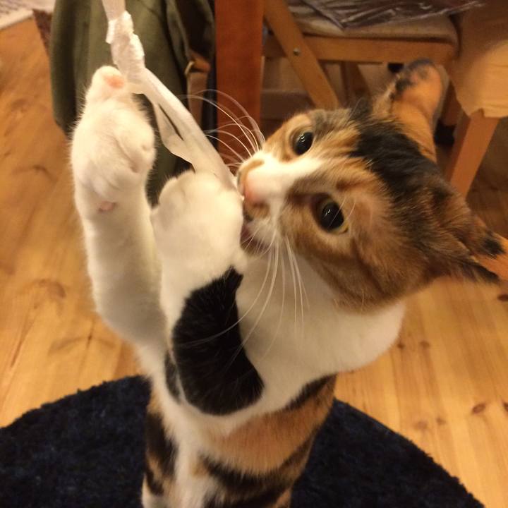 15b2b8be 9d95 4e2b b073 ebe239159305