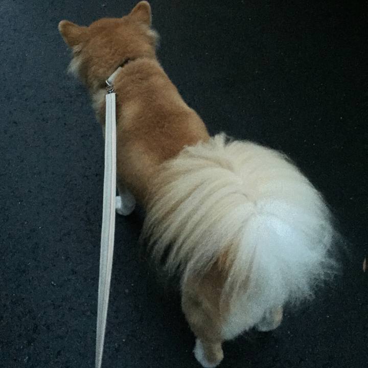 15b2e279 ad68 46ee 8094 3b22c13a0e1a