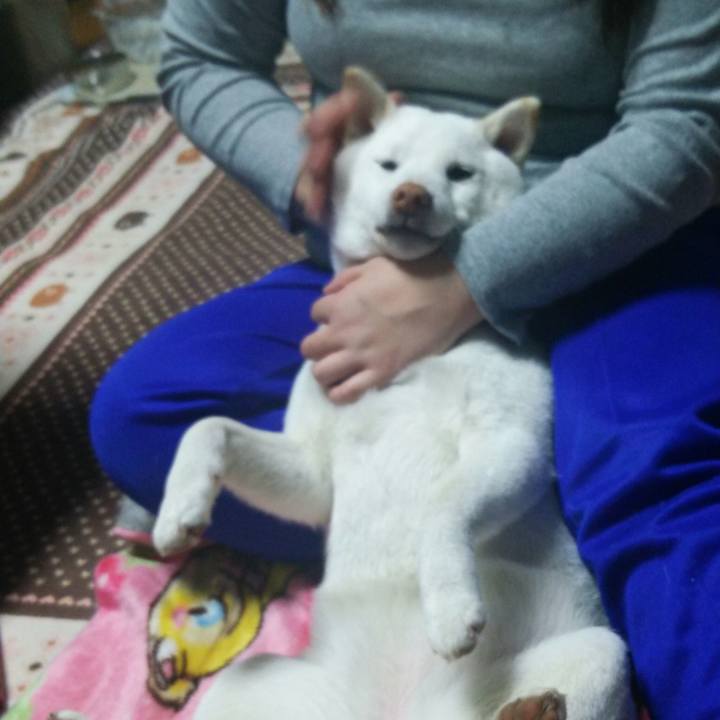 15b2ef09 7222 4a65 b8c7 70946493830c