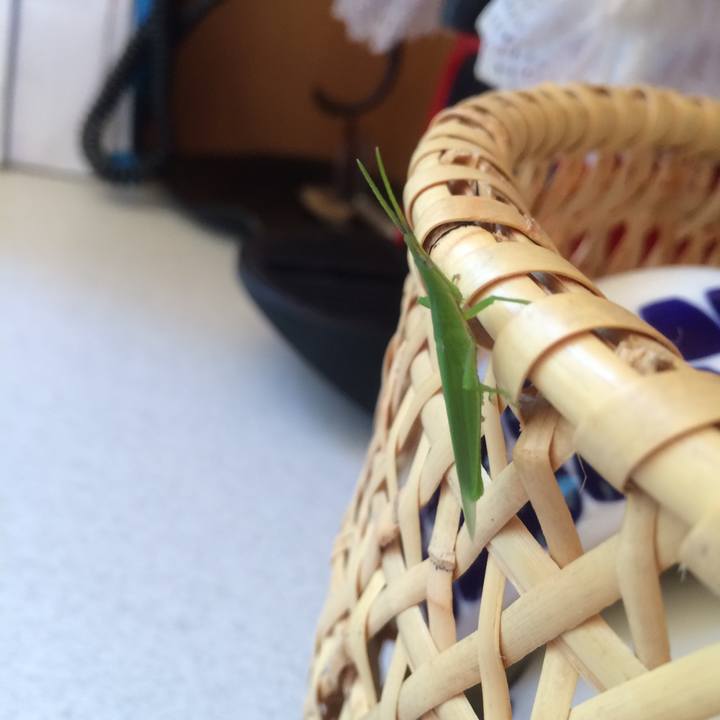 15b2fb3d e5bf 4f5f 8d28 f486f0acbbe4