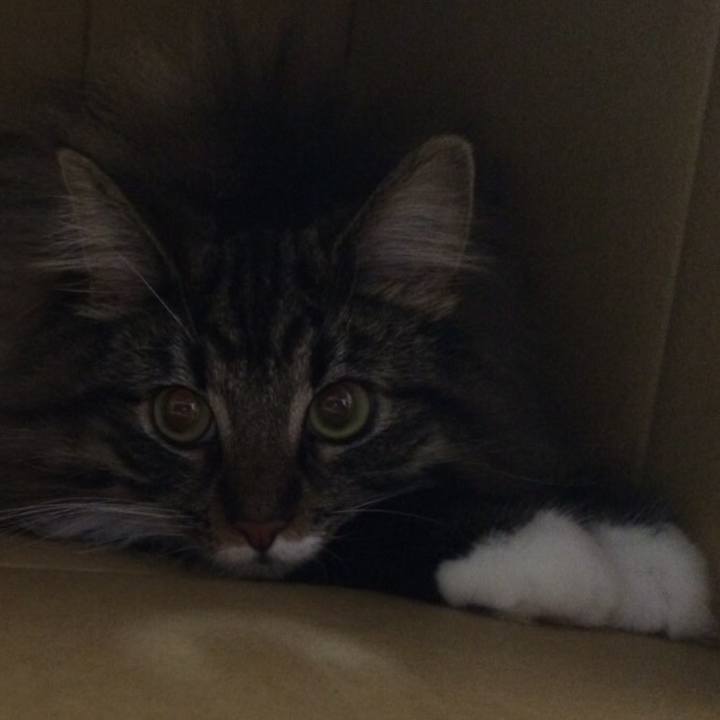 15b31638 9eab 4d07 b8f8 d7190ee24d0a