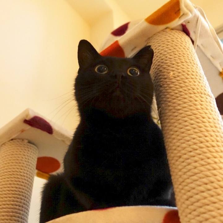 15b3460b 9660 4f9a 8191 6a03367c798e