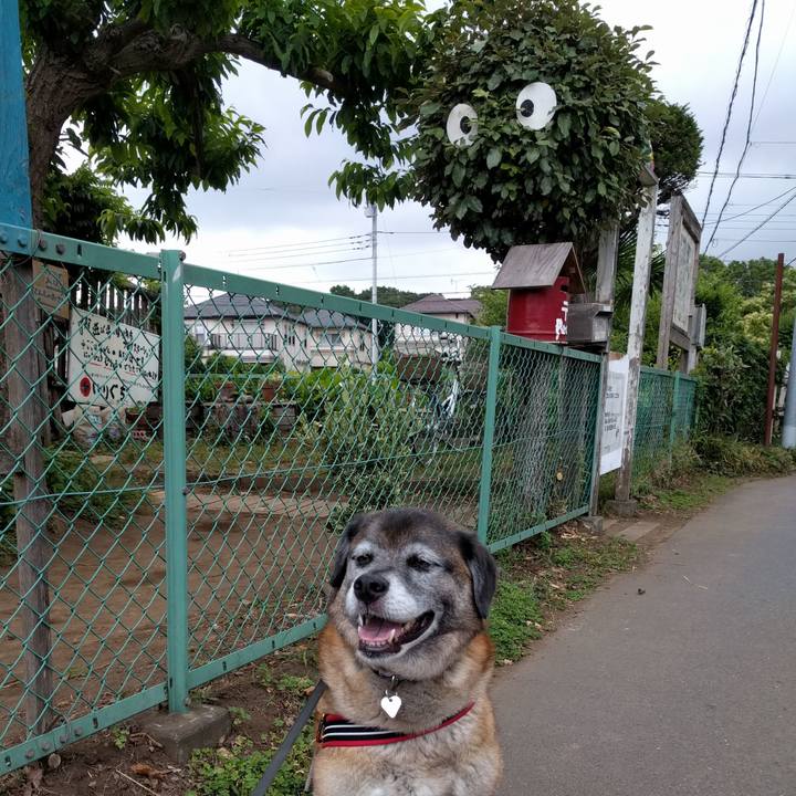 15b3a4f9 264b 4982 ab5d c9aeb842d5b1