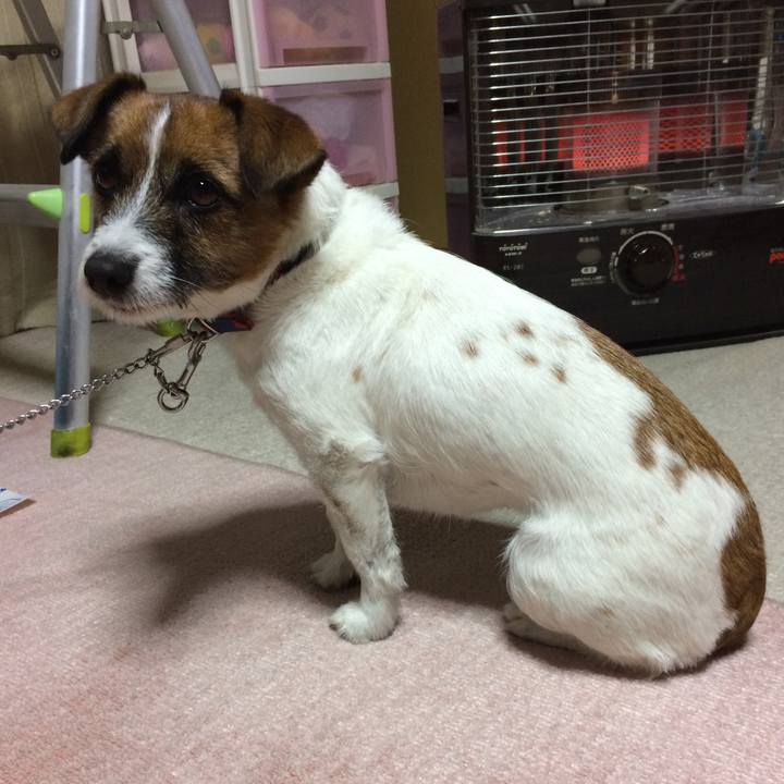 15b3db4b 5481 4559 930e 0a3e281fdf63