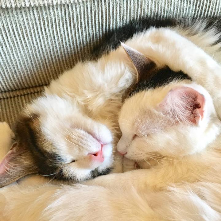 15b48082 bb45 436e a4e6 25446cd5aef2