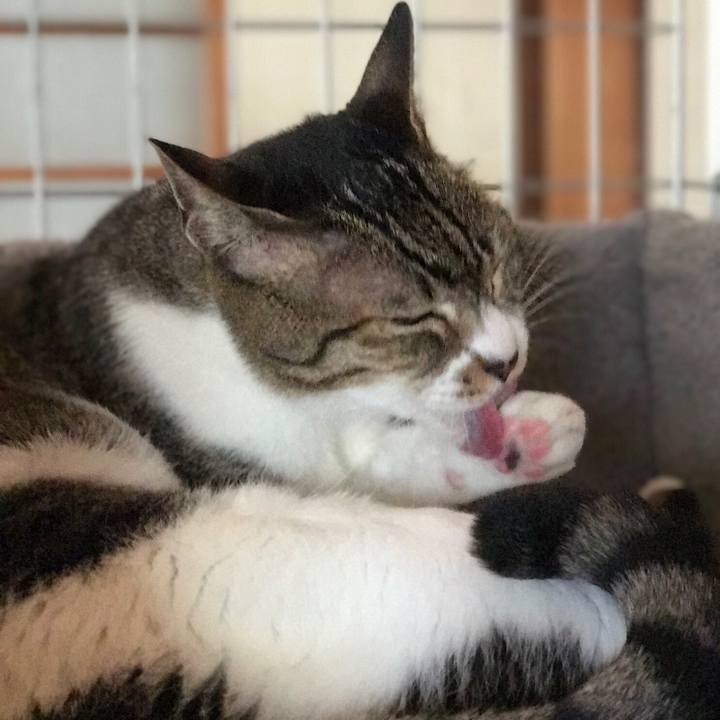 15b48840 dc9a 4b8c be90 7a2b9cf88549