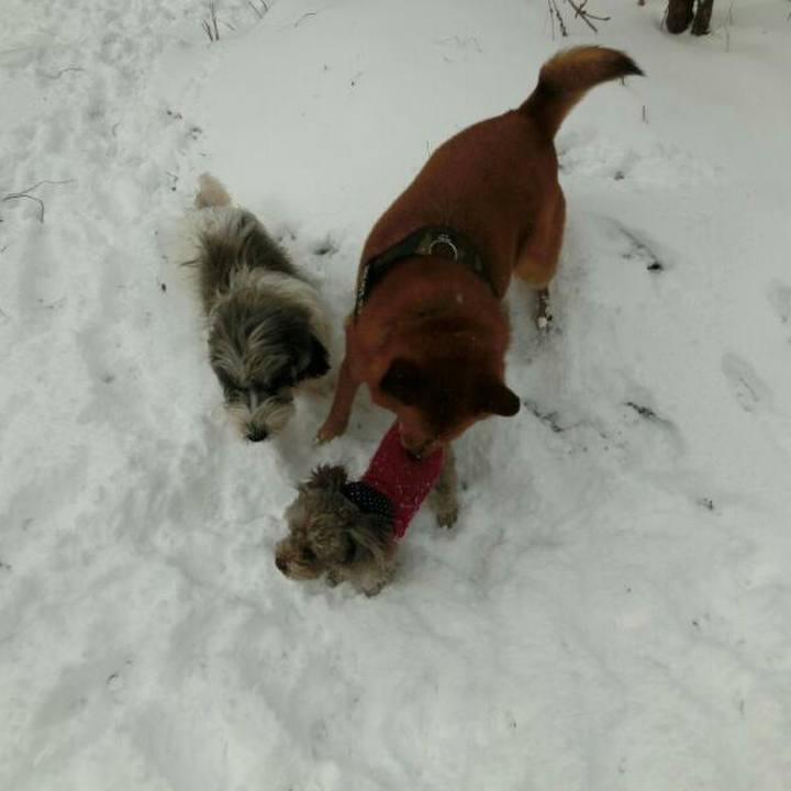 15b49042 6498 4fae b50b 9ba5d4a32a17