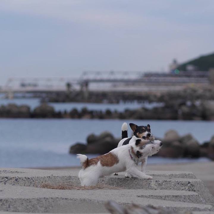 15b4b641 c475 4386 934d 7008eb665889