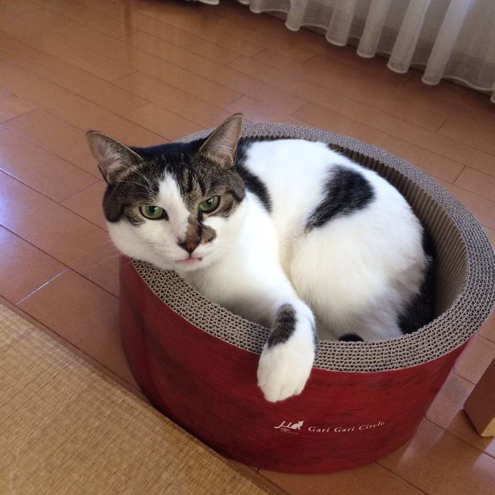 15b4c7e9 1ed6 46c1 9f02 811486b17249