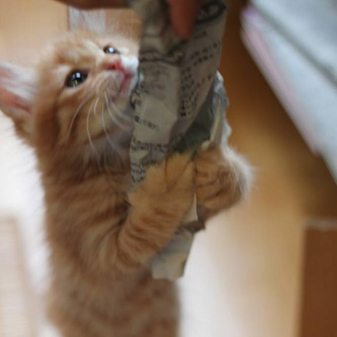 15b4d73e fffb 4d96 b9e7 9b5a04d68043