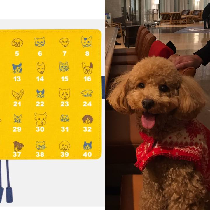 15b5be9f ec20 4824 a2ad 0e53cbcf2644