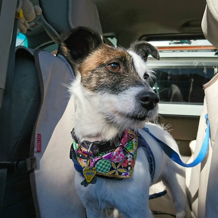 15b5c7d4 24c9 409c a465 fda43c4357da