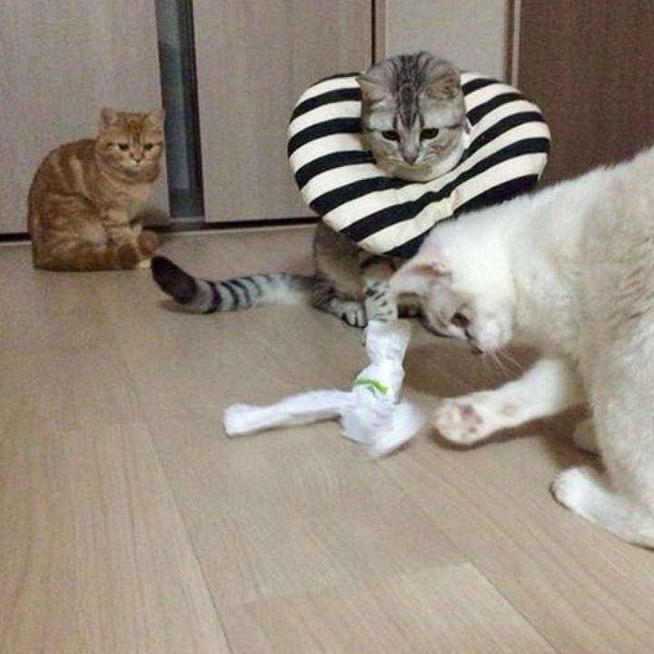 15b71704 16fb 4714 9ab9 1850395a98e3