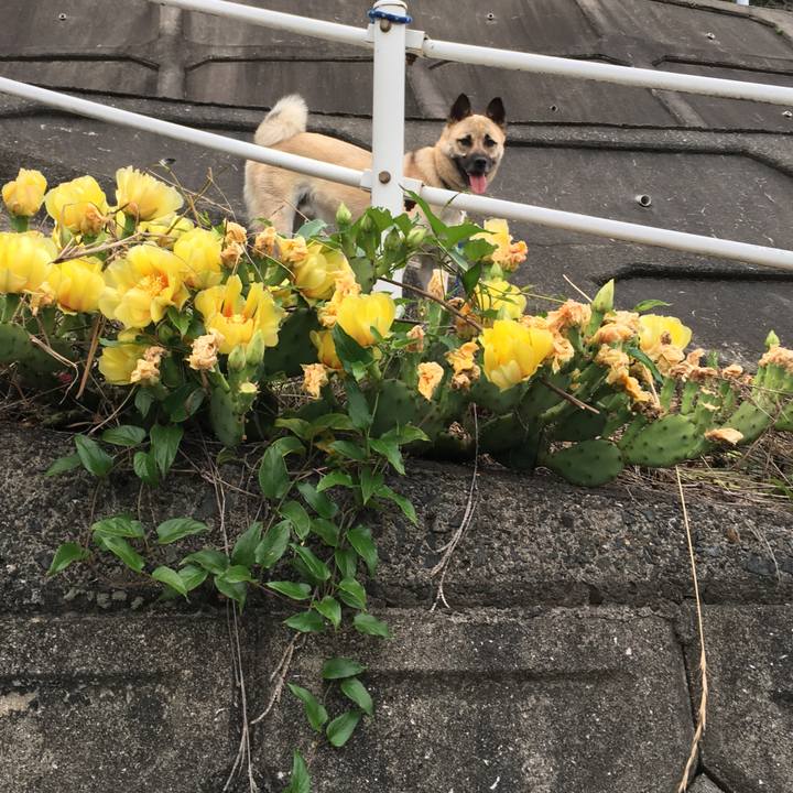 15b7c668 b32e 4033 97fc 2ea66644801d