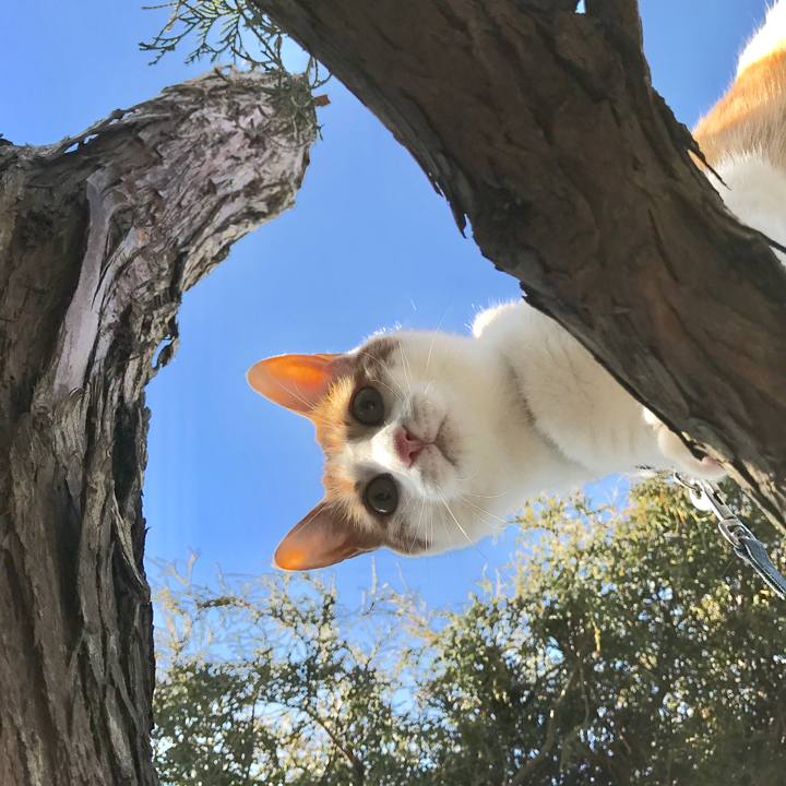 15b7c969 d18a 491e 9242 0e51fe7131de