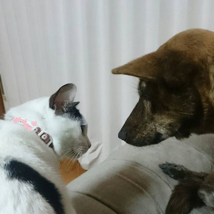 15b8df9c ff58 4a97 957f 4a8d5c1c8bae