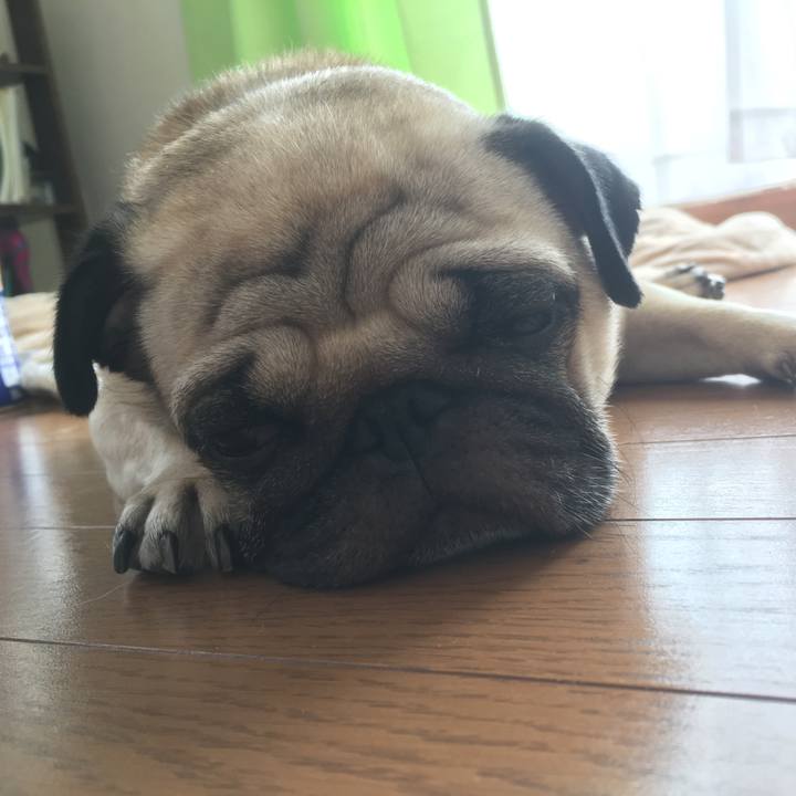 15b91a8c 28a8 4ef2 afdb 694ce5e80933