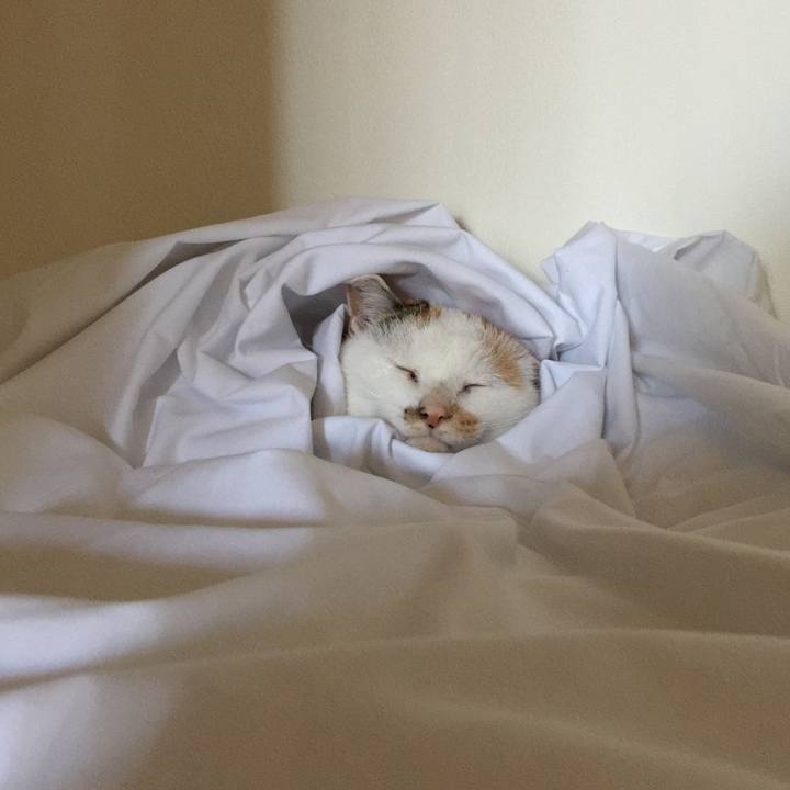 15b969d5 edf2 4f46 9263 6a7875466f78