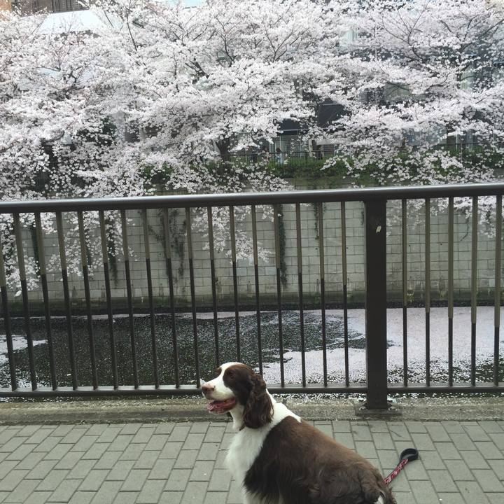 15b9855e c531 41a3 b5e2 2dbc4792b676