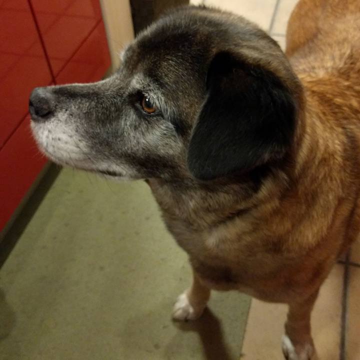 15b99fbe b9e3 47f2 8e47 e7ea276c7725