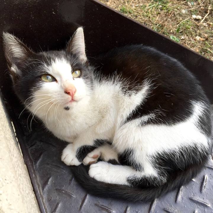 15ba4f76 249e 42bc b0c1 a82cda1b1b2c