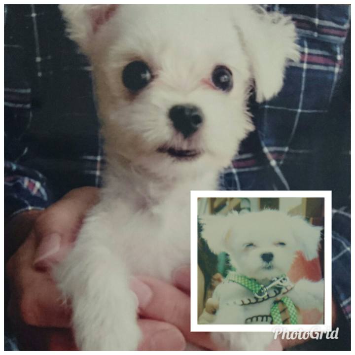 15ba6a50 fa47 44cb a680 a213b8d0e1c2