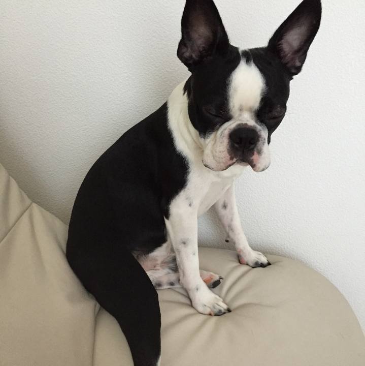 15ba6e76 181b 4a83 9dc9 a467bcf3f124