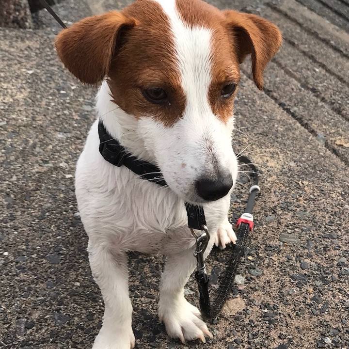 15bb8ae6 41a1 47a8 84cf 697b37a23f5f