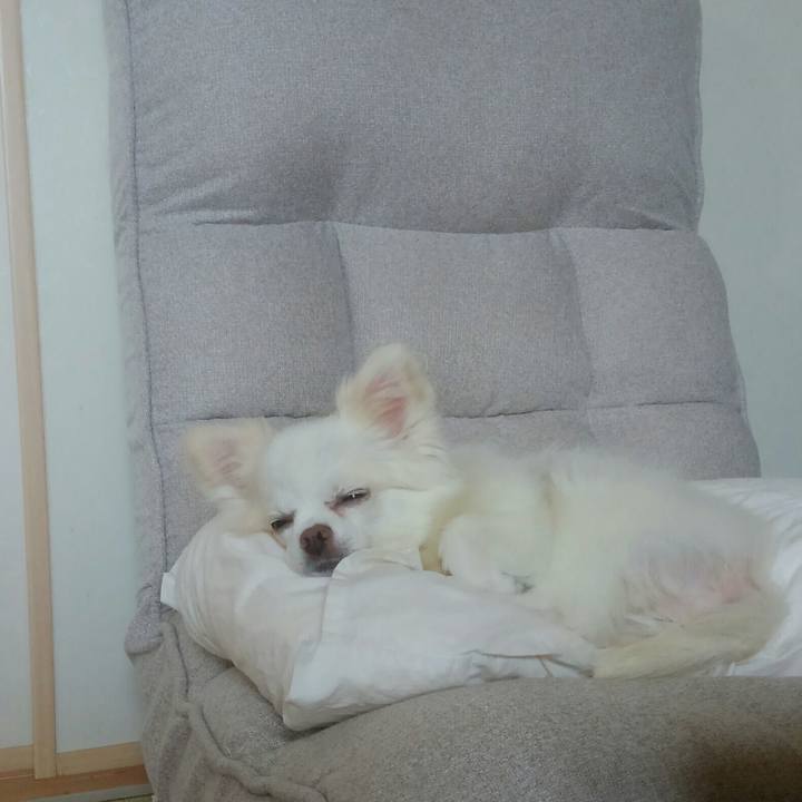 15bbaa4f 0211 4188 ba7f dda3b7375ac3