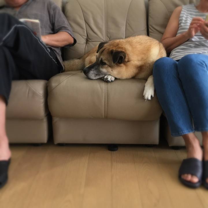 15bc20e5 2163 4473 9c40 96a459e4b04a