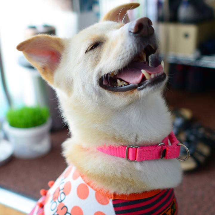 15bc2ef7 7488 46aa b238 56caff78d8a8