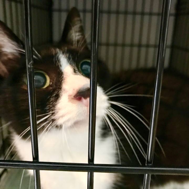 15bc42bf f805 4d8f a099 a3be321bf917