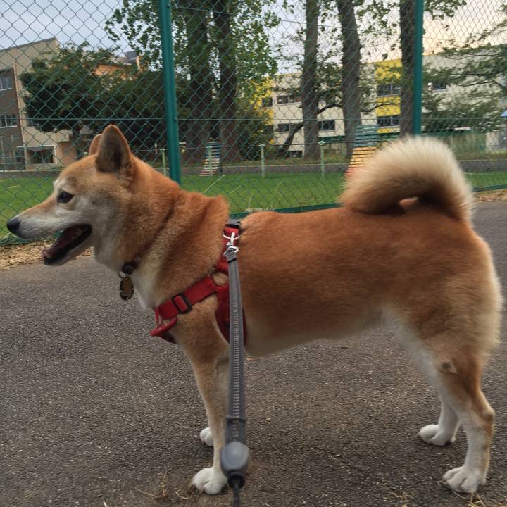 15bca00c b79c 4883 9c09 c63bf0e4add4