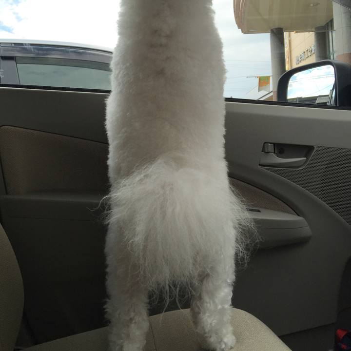 15bd8ece 4e22 4a0d bc7a 0bb62f4ac476