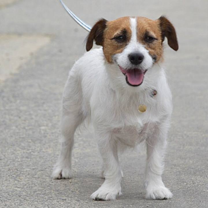 15be1c3b 3d5f 4ea1 9e2b 6bc9be3cbb9e