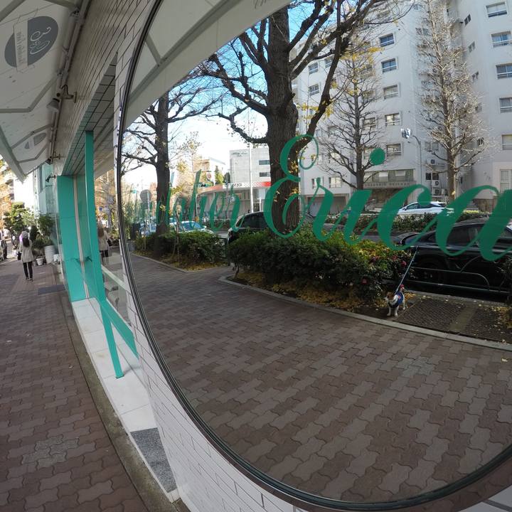 15bee6cf 054c 464c 9e85 5ce787db9088