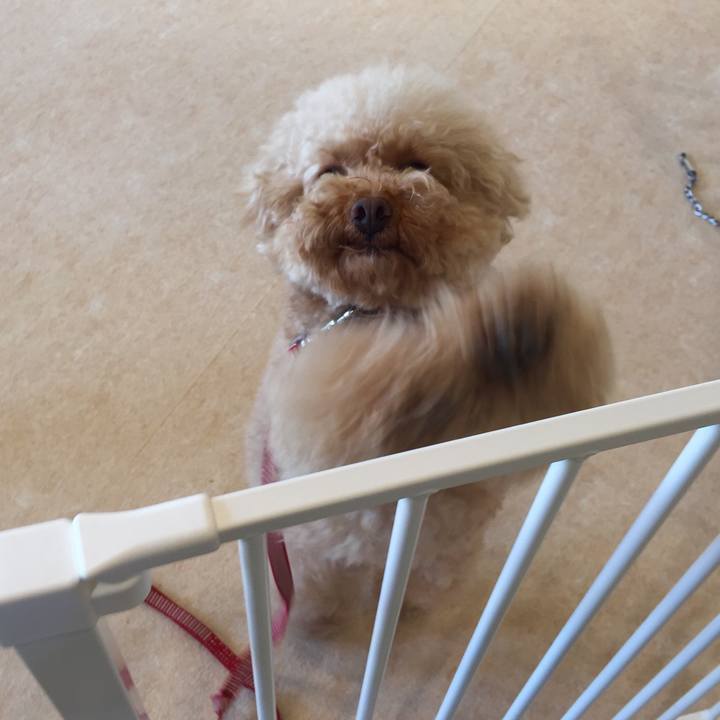 15bf03a9 0952 49ab a141 9e147db5a608