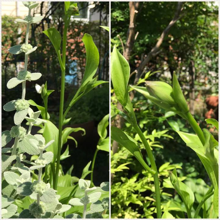 15bff929 9e1a 449a 85dd 6bd8deb430ac