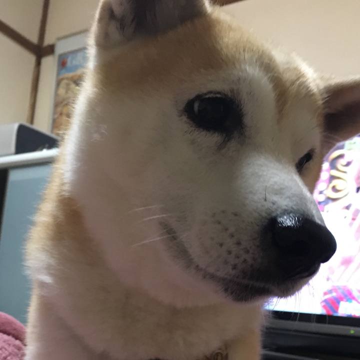 15c19159 43e0 49eb 8bfd 8ae6e5cf25ba