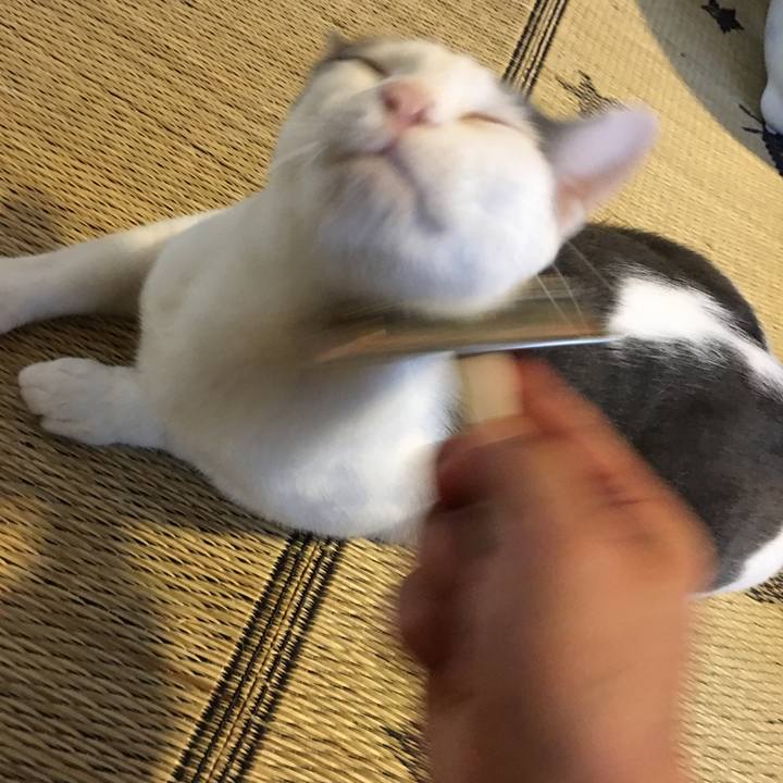 15c1a849 8783 4523 8604 ae2e6ca07180