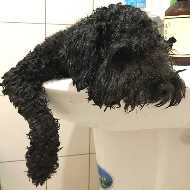 15c24295 efdc 4dbe 8341 da4a29db8ae3