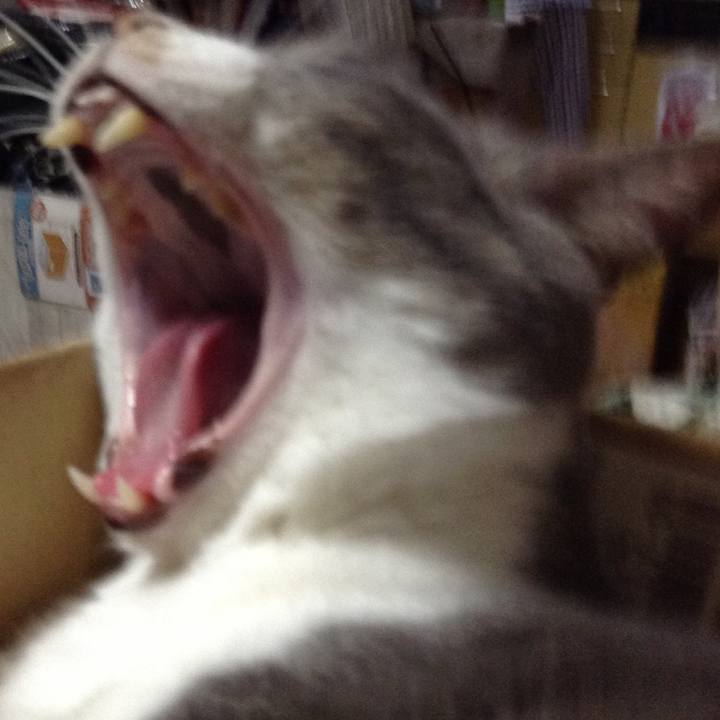 15c24c0e 711e 4c58 8054 d4d6d29c9d1f