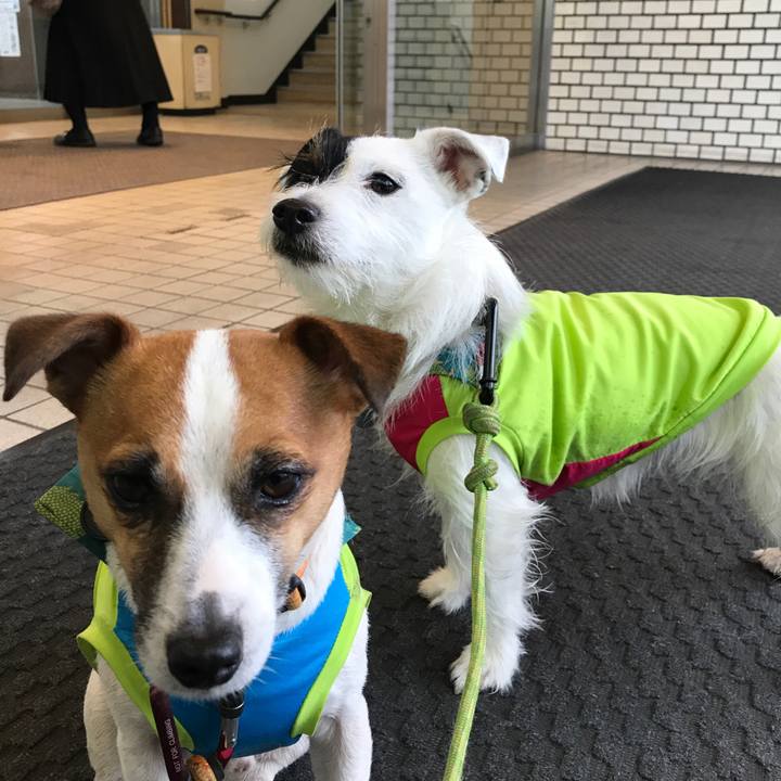 15c24e27 3b13 4d34 a582 d3bde61c476f