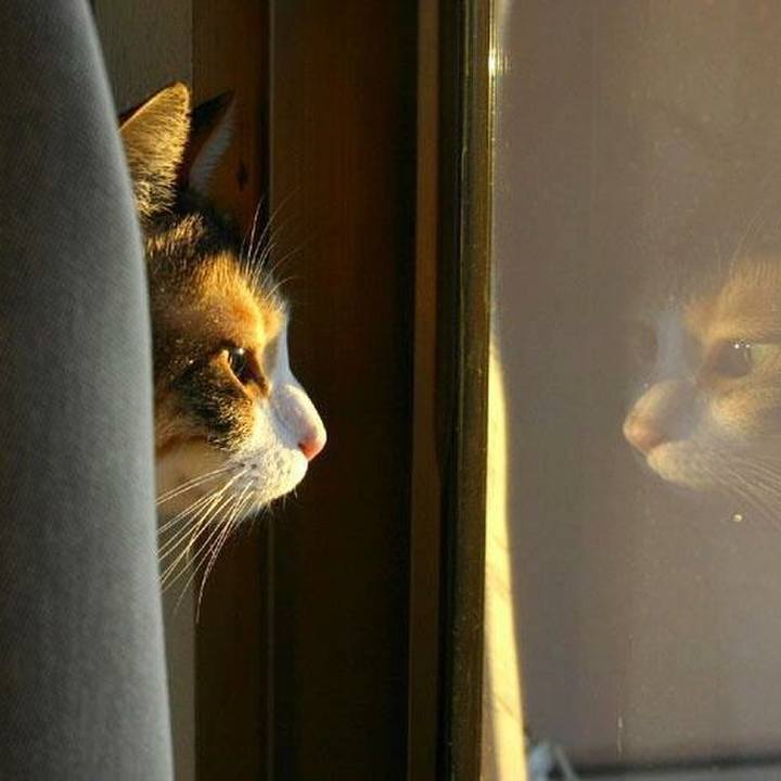 15c353c4 a60c 484d 8ce8 ca85bfb2f7c1